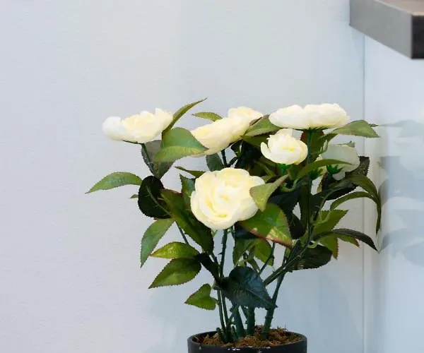 Baltic 1 - Rumbi 4-36 Lägenhet Tallinn