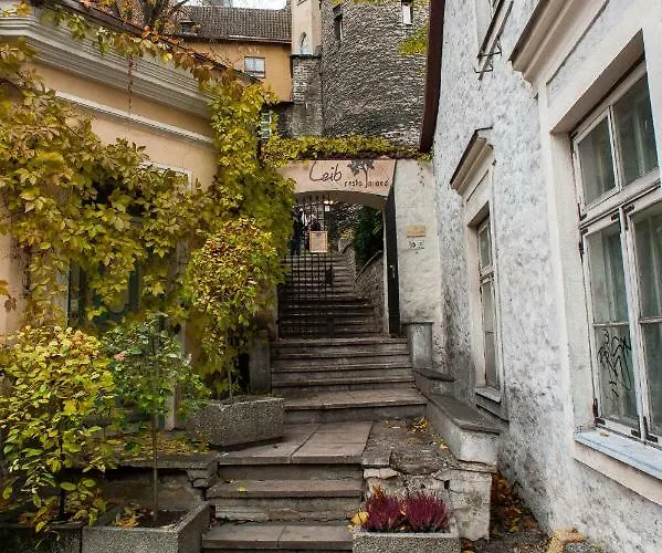 Appartement Baltic 1 - Rumbi 4-36 *