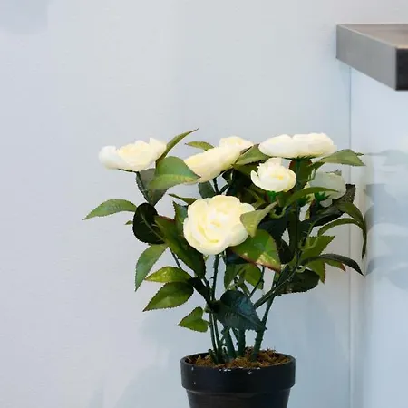 Baltic 1 - Rumbi 4-36 דירה טאלין